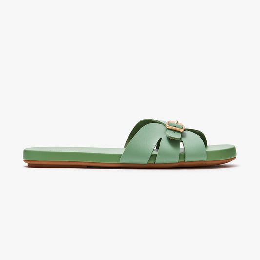 Sunday Slides - Fern Green Sunday Slides - Fern Green