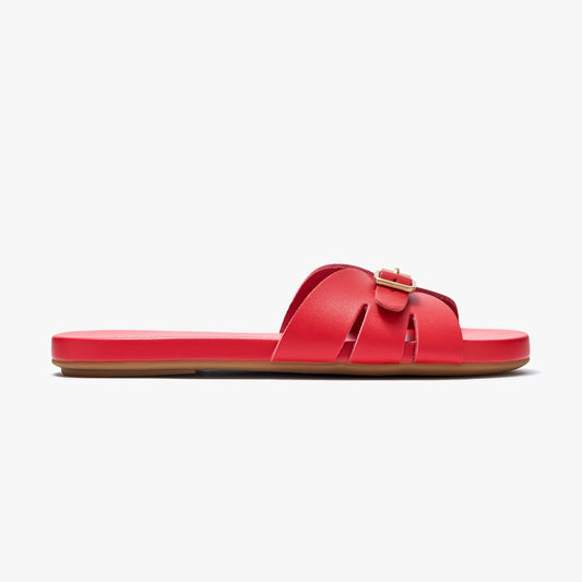 Sunday Slides - Red Sunday Slides - Red Sunday Slides - Red